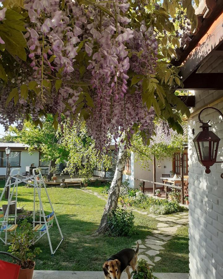 Shai Shai Hue Puerto Madryn Exteriér fotografie